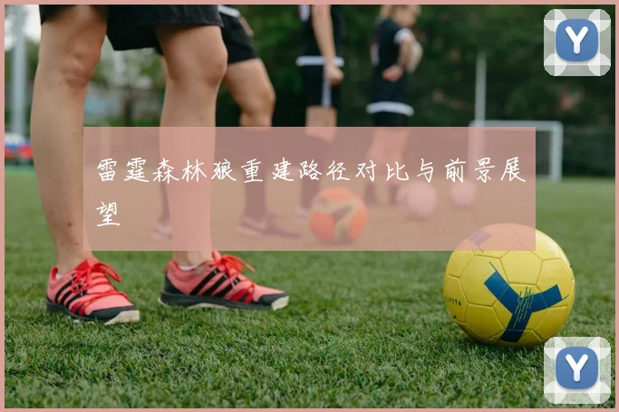 雷霆森林狼重建路径对比与前景展望