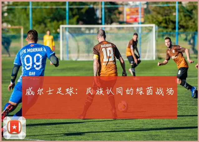 威尔士足球：民族认同的绿茵战场