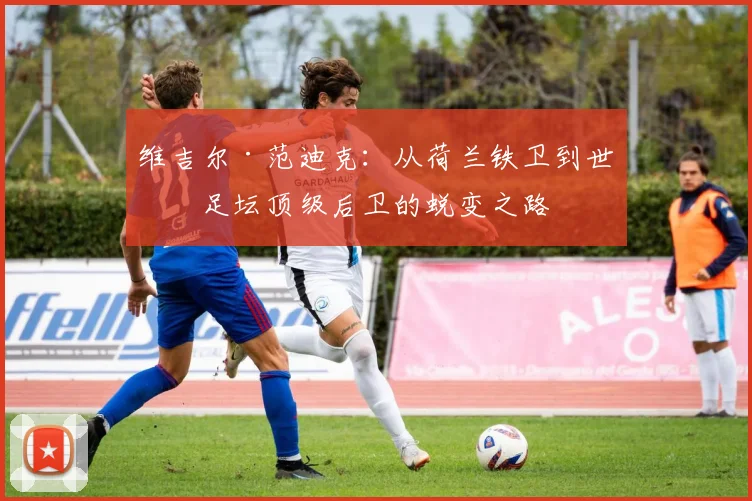 维吉尔·范迪克：从荷兰铁卫到世界足坛顶级后卫的蜕变之路