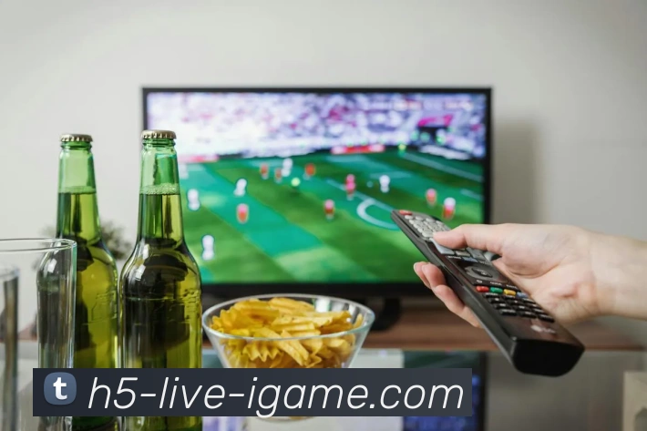 多媒体互动体验